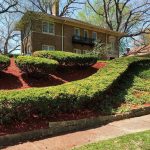 Hedge Trimming and New Mulch Installation