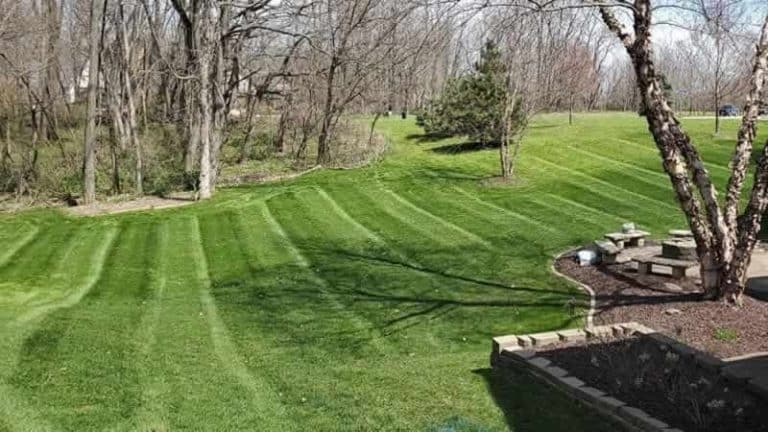 The Fall Is A Great Time To Give Your Lawn Some Attention