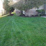 Lawn Care Service Completed By Topscape Landscaping