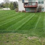 Lawn Care Service Completed By Topscape Landscaping