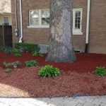 New Bark Mulch Installation By Topscape Landscaping