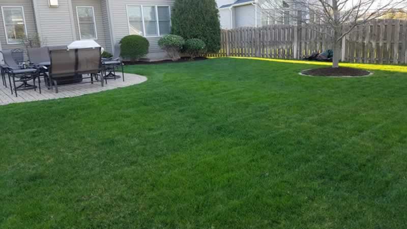 New Sod Installation