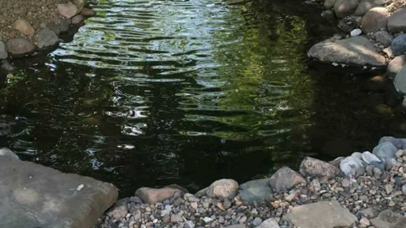 Water Feature Construction