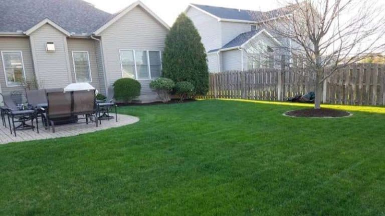 Who Is The Best Lawn Care Company In Moline, IL?