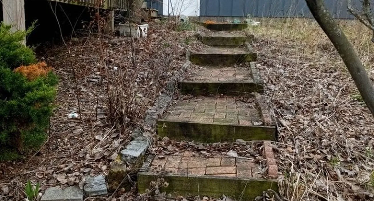 Backyard before the landscape visualizer redesign